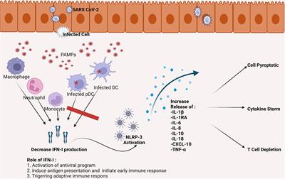 Developing dendritic cell for SARS-CoV-2 vaccine: Breakthrough in the pandemic